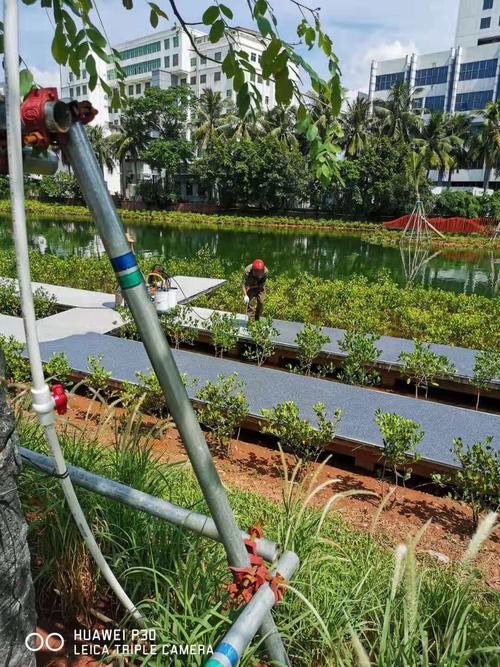 海口市鸭尾溪湿地生态系统建设工程项目监理